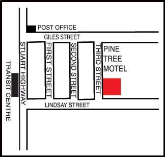 Motel Pine Tree 3*